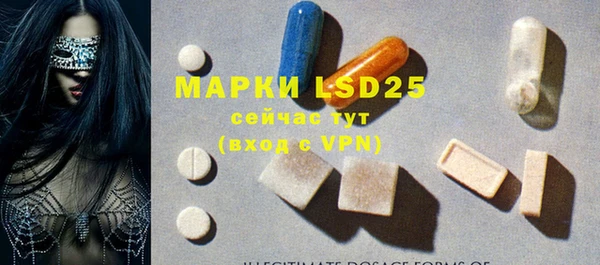крисы Липки