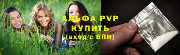 крисы Липки