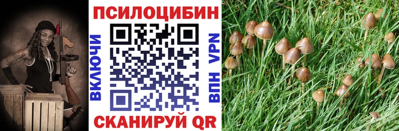 Псилоцибиновые грибы Psilocybine cubensis Суровикино
